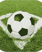 沙特联赛,利雅得胜利,击败麦加统,广州赛马会,广州赛马,赛马赛事,马术资讯