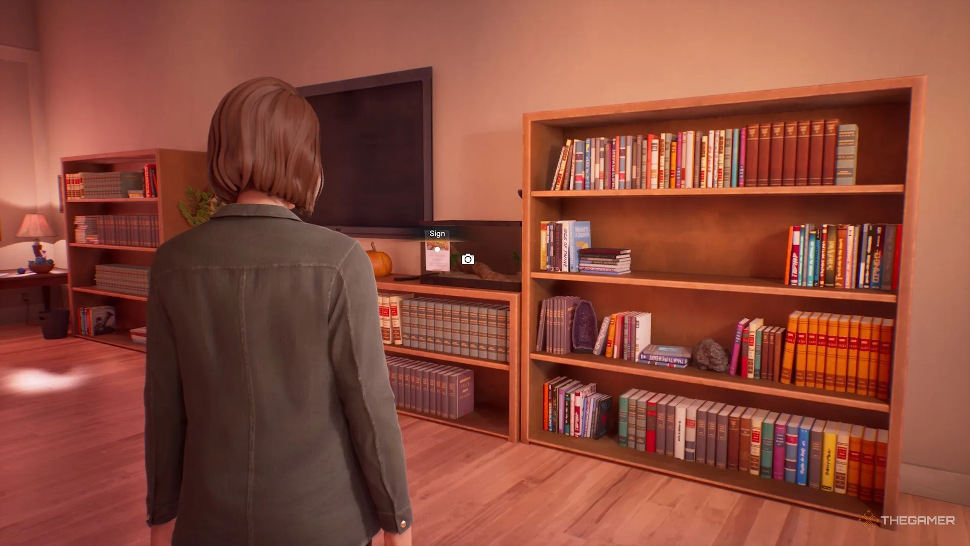 大乐透期号,专家推荐分,亚冠神户主,广州赛马会,广州赛马,赛马赛事,马术资讯